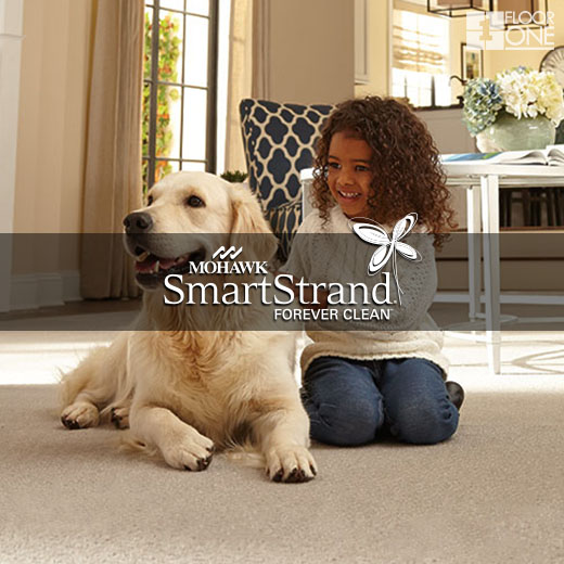 mohawk smart strand pet friendly carpet on sale floorone flooring