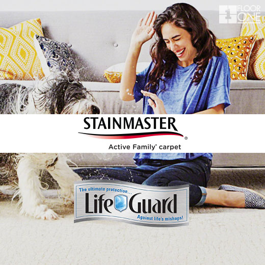 Shaw waterproof lifeguard stainmaster pet friendly carpet